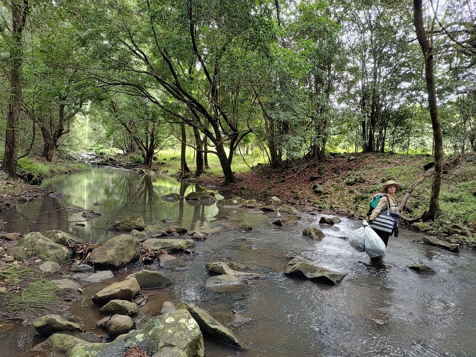 Researcher crossing a creek