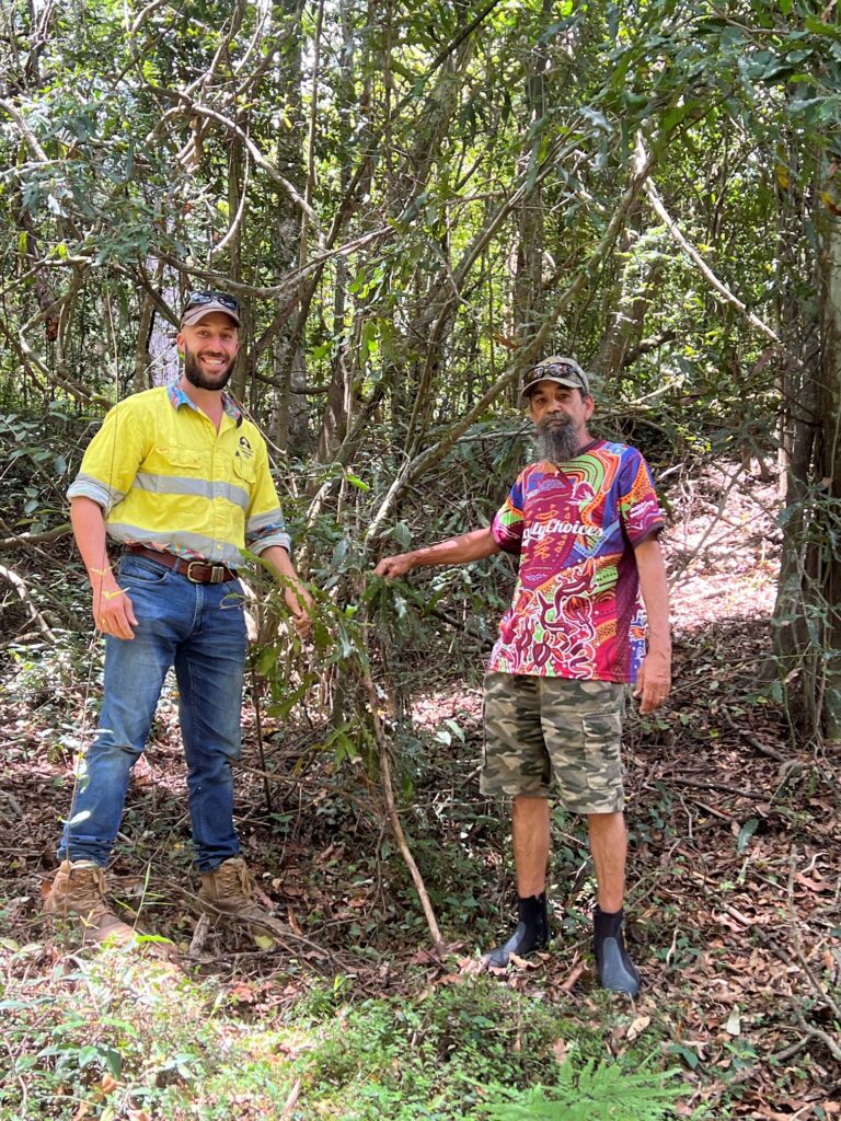 Marty McArthur(GDLG) and Russell Bennet (WMC) inspect M. integrifolia rescued by weed control along Amamoor Creek