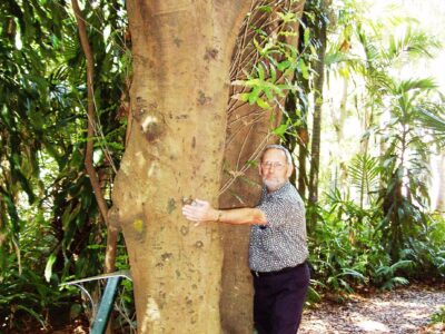 The oldest macadamia conservationist hugging the oldest macadamia tree